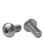 Śruby z łbem grzybkowym